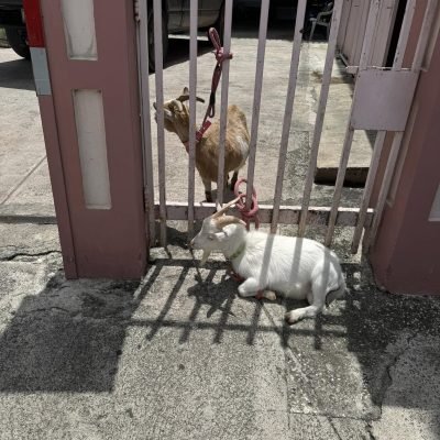 Inicio-Sobre-nosotros